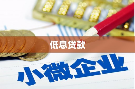 固阳低息贷款