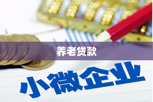 湖滨养老贷款