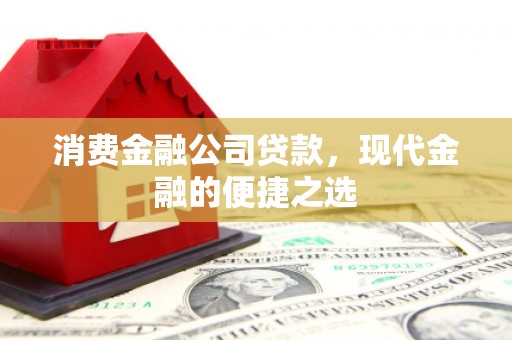 赣县消费金融公司贷款，现代金融的便捷之选