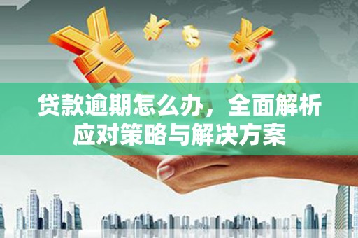 梅列贷款逾期怎么办，全面解析应对策略与解决方案