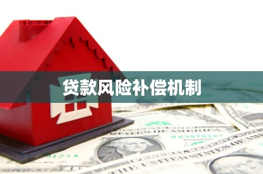 台西贷款风险补偿机制