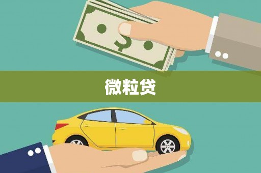 保税港区微粒贷