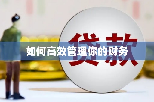 狮潭如何高效管理你的财务