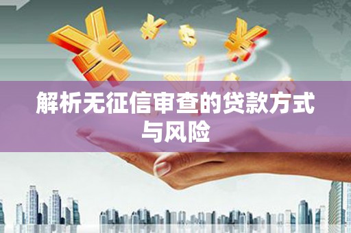 瑞金解析无征信审查的贷款方式与风险