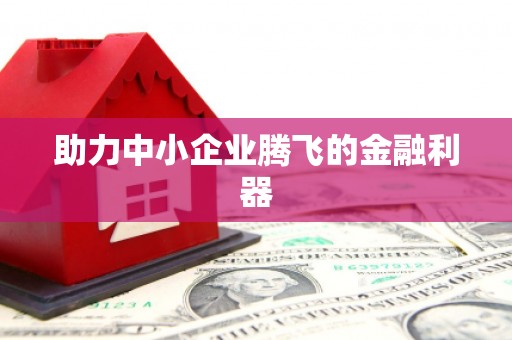 下城助力中小企业腾飞的金融利器