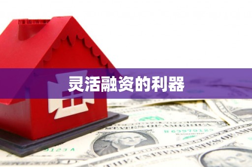 绥芬河灵活融资的利器