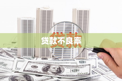 嘉禾贷款不良率
